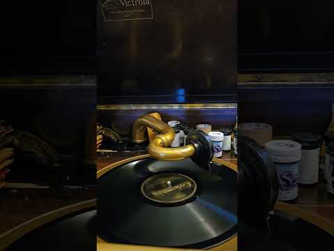 Dream of Love & You - Leo Reisman his Orchestra Columbia Records #673 1926