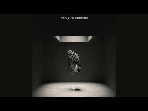 Hernan Cattaneo, Hicky & Kalo - Voyage (Cristoph Remix)