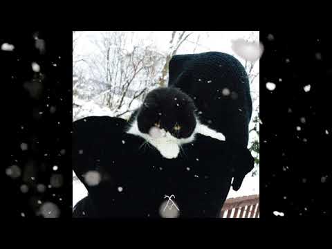 MXMS - Carol Of The Bells