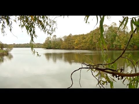 Jezero Vidara Gradacac 24.10.2017