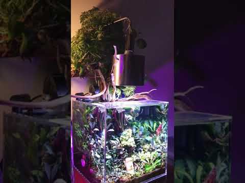 My LostWorld Nano Tank Aquarium - Natural Rich Mix Cubic 30 Tank Wood Style
