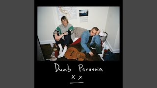 Dumb Paranoia