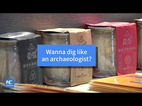 Archaeology fans dig joy out of blind boxes