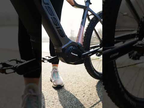 CRUSSIS e-Guera 9.10