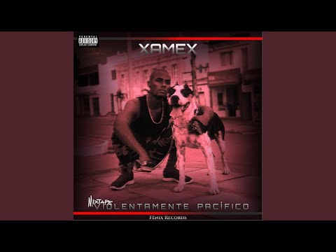 Violentamente Pacífico