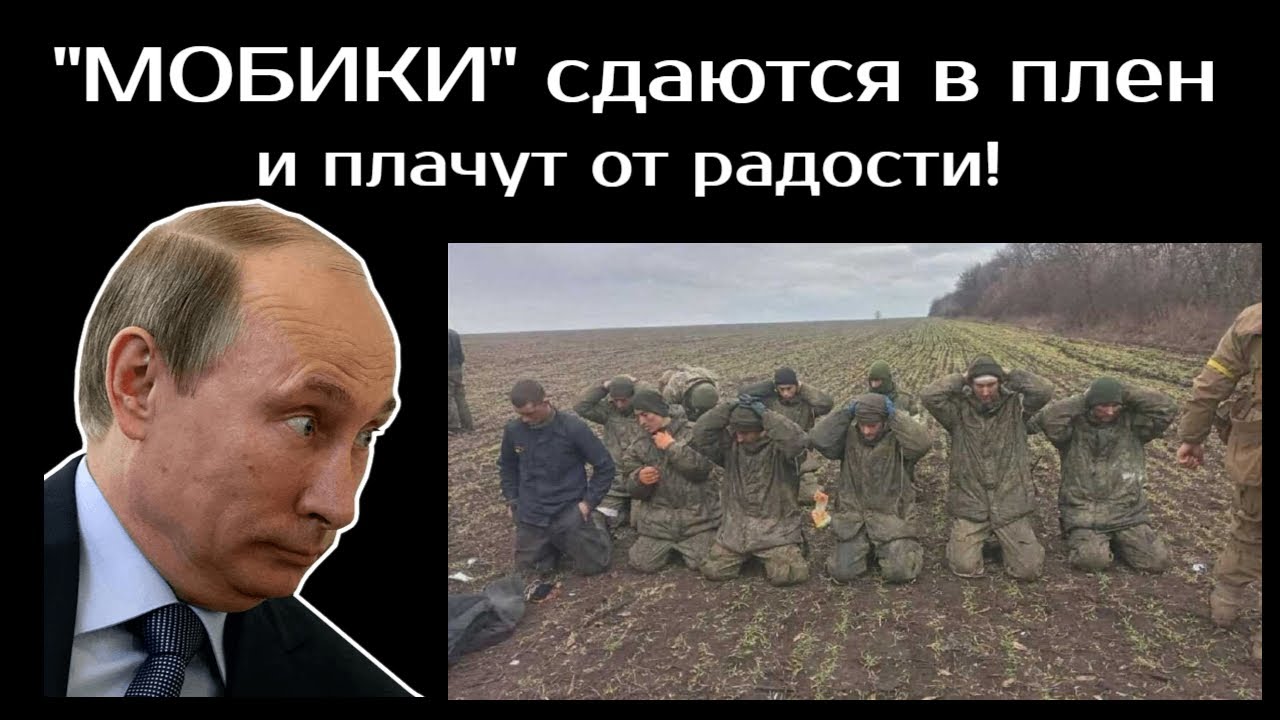 Мобик. Почему мобики. Российские мобики. Почему мобики. Мобики днр.