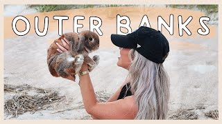 Taking my RABBIT to the Outer Banks | Behind the Bun
