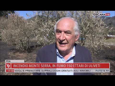 2018-09-28 TG REGIONALE ORE 19.00