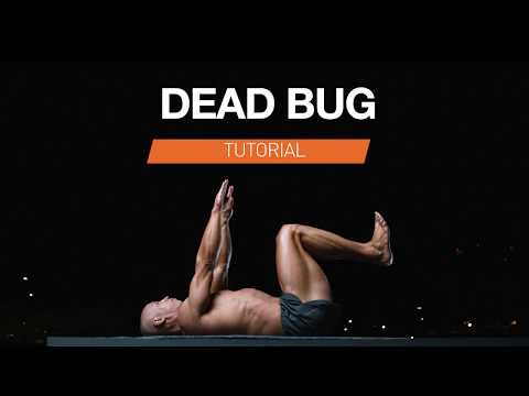 Bodyweight Exercise For Lower Back Pain | Dead Bug Tutorial