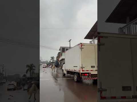 Descubra Boqueirão do Leão, uma cidade repleta de tradições! #boqueirao #riograndedosul