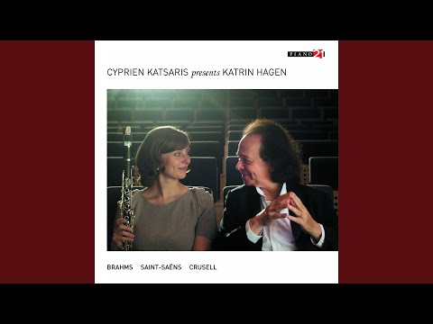 Clarinet Concerto No. 3 in B-Flat Major, Op. 11: I. Allegro risoluto (Arr. for Piano)