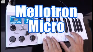 Video thumbnail for Mellotron Micro Demo & Review by musictrackjp