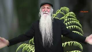 "משחקן מצליח בהוליווד אל אור היהדות"... סיפורו המופלא של הרב דניאל דיין הי"ו