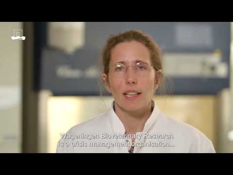 SCIENCE TALKS CORONA: testing for the corona virus