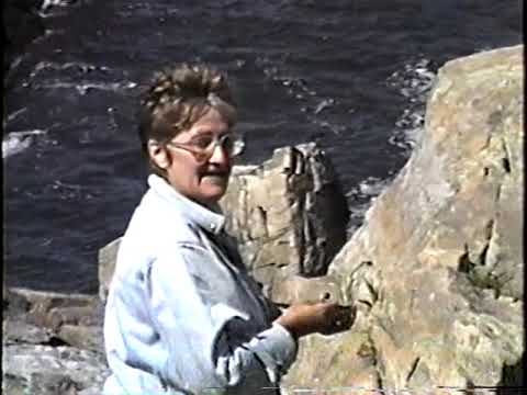 FD's Audio Archive: The Feelies 03-31-1988 Beacon Theatre, NYC