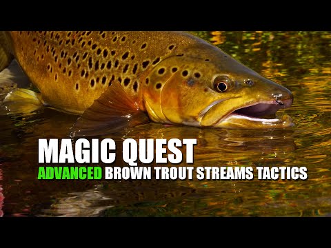 "Fly Fishing Brown Trout in small streams at Maruia - Magic Quest"