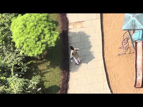 Priyanka feeding the cat water