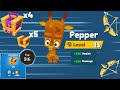 Level 15 Pepper Is Unstoppable Zooba
