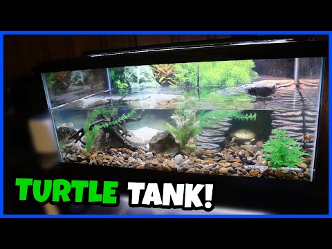 Setting Up A 40 Gallon TURTLE TANK!