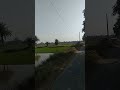 VILLAGE ENVIRONMENT Villageenvironment Villagelife Villagevlog Villagelifestyle Viral Shorts
