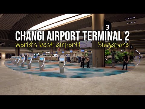 Inauguração completa da ala norte do Terminal 2 do Aeroporto Changi de Singapura | O melhor aeroporto do mundo!