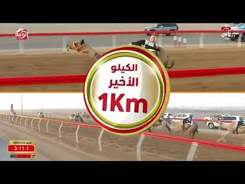 ش 6 (مهابه) لـ عبدالله سالم بن حزيم الفلاسي 4:36:79 ، مهرجان العين 2026/07/08 لقايا الروضة