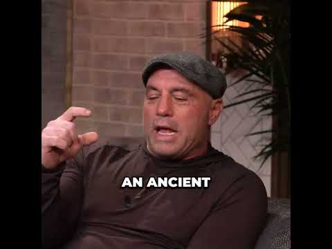 Joe Rogan Tells the History Christianity and psychedelic mushrooms CRAZY TRIP!