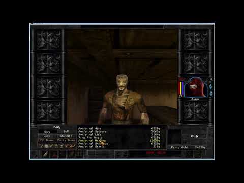 Wizardry 8: Solo Faerie Ninja - 08 - Where the bugs dwell