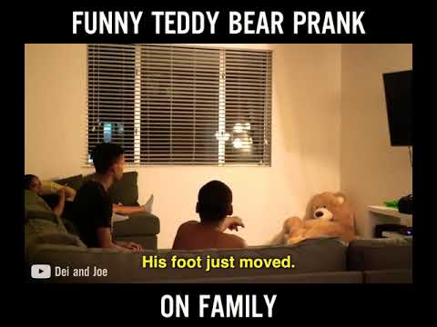 Funny Teddy Bear Prank On Family