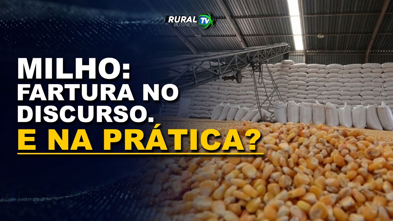 MILHO: FARTURA NO DISCURSO. E NA PRÁTICA?
