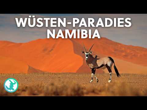 Flüsse aus Sand: Das faszinierendste Naturphänomen Namibias