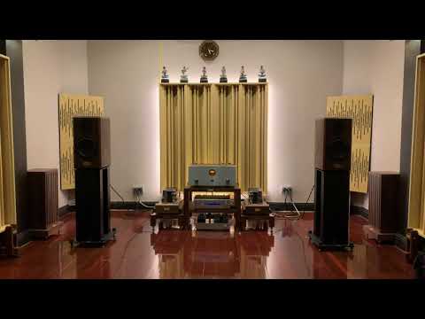 White Snow In Early Spring