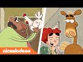 Hier is Pony | Annies huisdier | Nickelodeon Nederlands