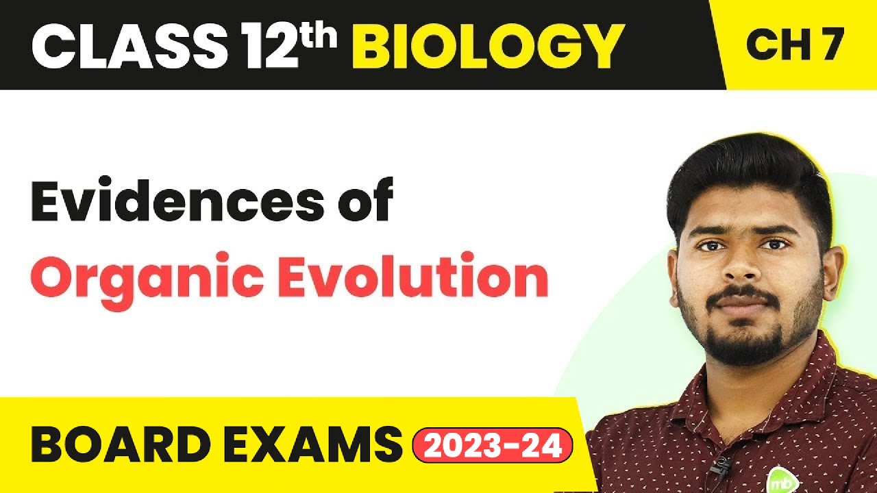 Class 12 Biology Chapter 7 |  Evidences of Organic Evolution - Evolution (2022-23)