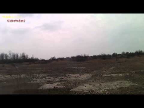 La furat copaci din padure