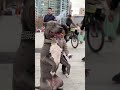 Pit Bull Snaps And Almost Attacks Little Boy Who Kept Hitting Him With A Bottle! #shorts #ytshorts