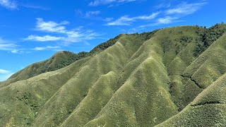 礁溪抹茶山登山健行