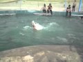 Swimming Pool Gul Jee 15 MP4