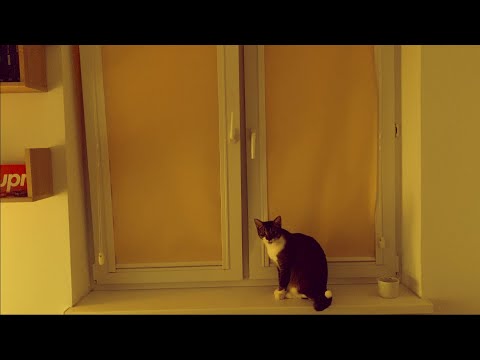 Myszun - Jazz na kanapie 2