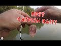How To Catch Catfish From The Bank | Catfishing Bait, Rigs, & Tips!