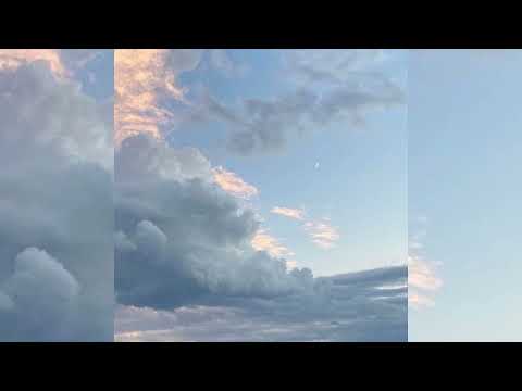 OCX (prodbyocx) - seek bromance