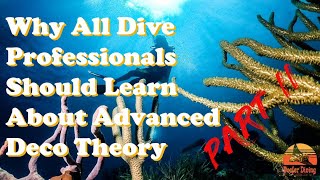 Why All Dive Professionals Should Learn About Advanced Nitrox and Decompression Theory (Part 2).