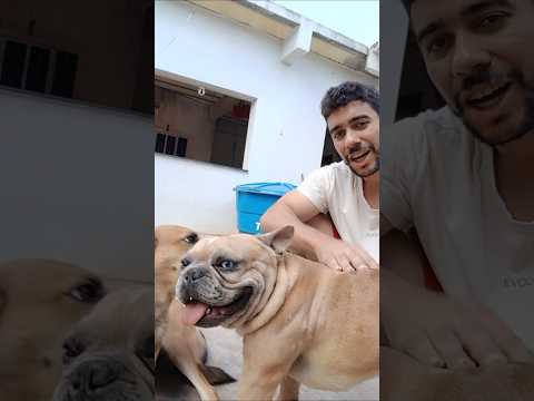 Castramóvel em Francisco Sá MG