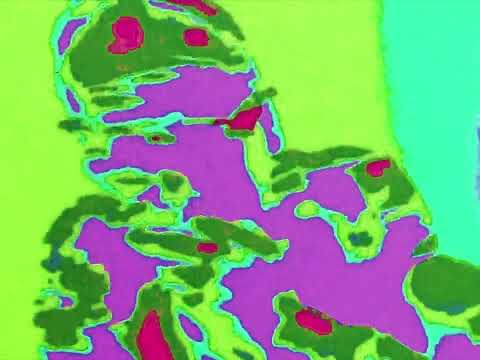 Elio Toffana feat. Lil Supa - ALTAMAR (Visualizer)