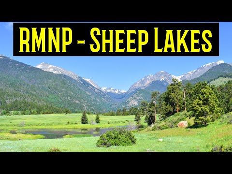 , title : 'Rocky Mountain National Park | Sheep Lakes | Tips, Wildlife and Geology | S5:E7'