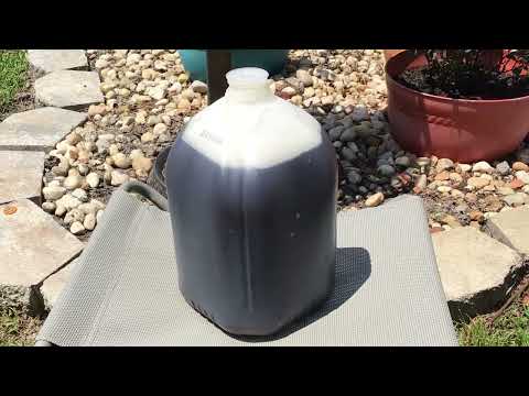 Haciendo el Pie de Mavi bebida puertorriqueña ( Estilo de la Abuela)