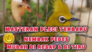 Download lagu masteran pleci terbaik mp3