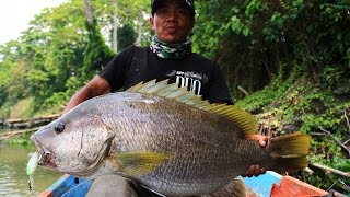 Bass de compèt' !