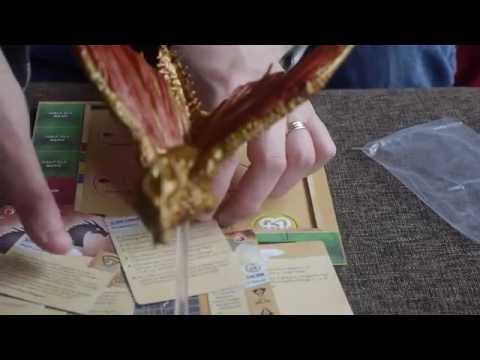 Unboxing: D&D Attack Wing: Ancient Brass Dragon