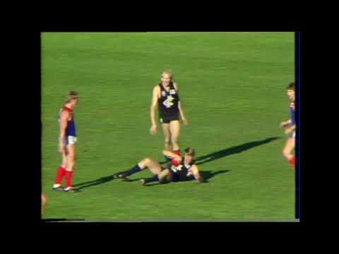 1985 Round 16 at Waverley Park - Carlton vs Melbourne - Carlton Highlights